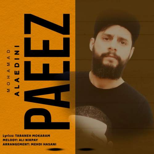 mohamad alaedini paeez 2025 09 30 05 48