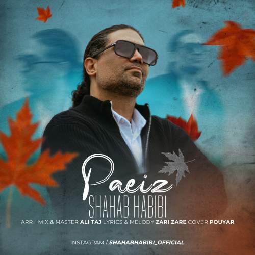 shahab habibi paeiz 2025 10 28 15 09