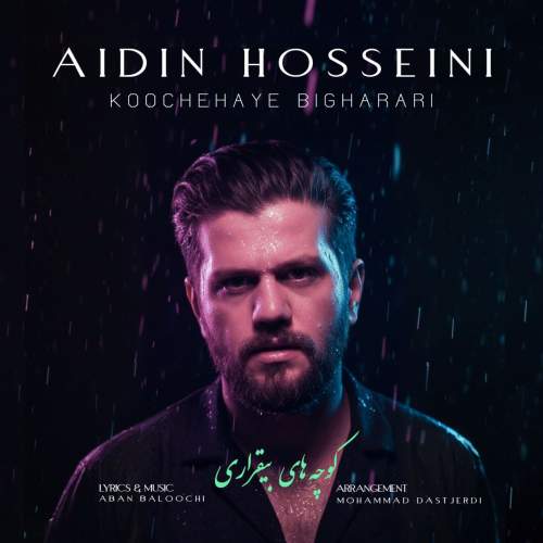 aidin hosseini koochehaye bigharari 2025 11 17 19 03