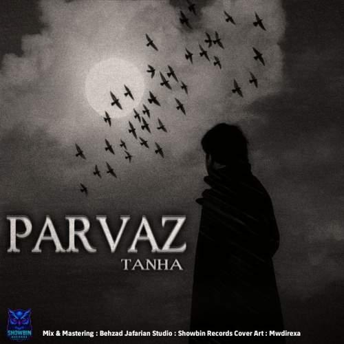 parvaz tanha 2025 11 18 12 39