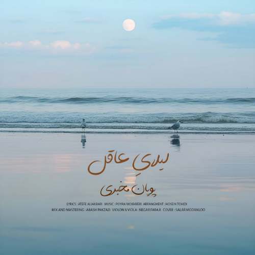 pouyan mokhberi leilaye aghel 2025 11 19 15 28