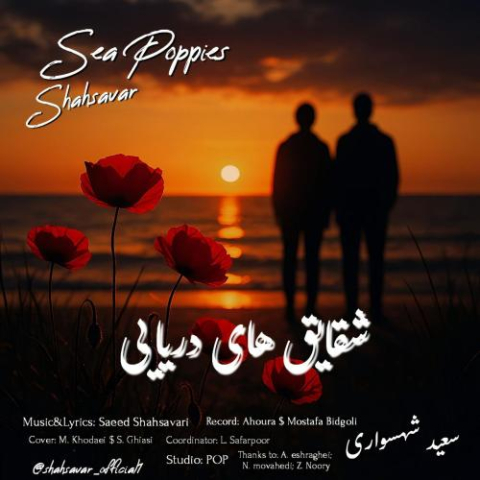 saeed shahsavari shahsavar sea poppies 2025 11 12 18 08