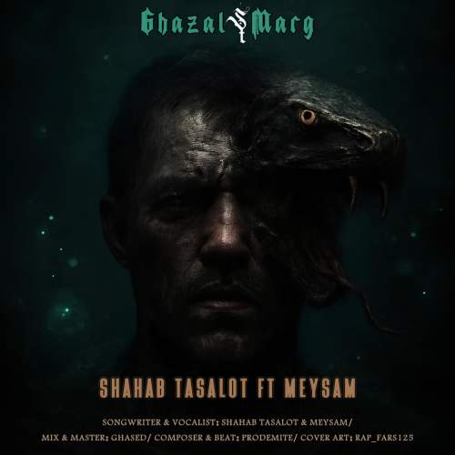shahab tasalot ft meysam ghazal marg 2025 11 27 23 40