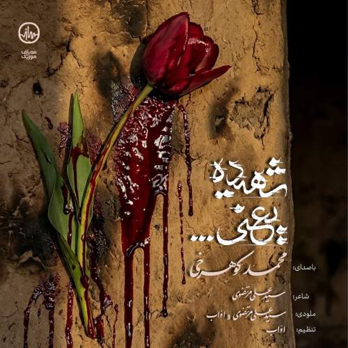 mohammad koohrokhi shahide yani 2025 12 28 17 33