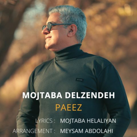 mojtaba delzendeh paeez 2025 12 09 17 35