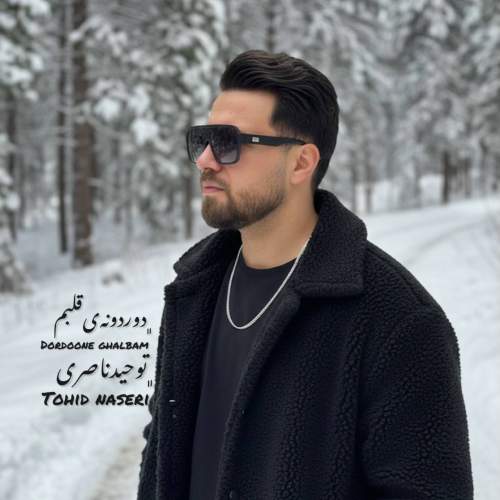 tohid naseri dordooneye ghalbam 2025 12 25 22 48