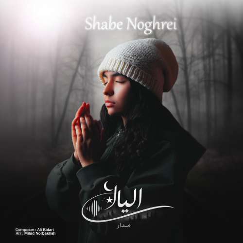 elyana madar silver night 2026 01 28 19 32