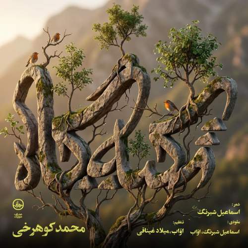 mohammad koohrokhi tekyegah 2026 01 04 11 29