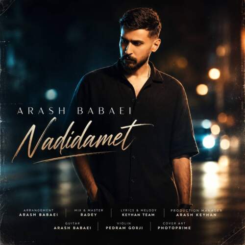 arash babaei nadidamet 2026 08 04 22 55
