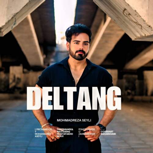mohamadreza seyli deltang 2026 08 05 12 57