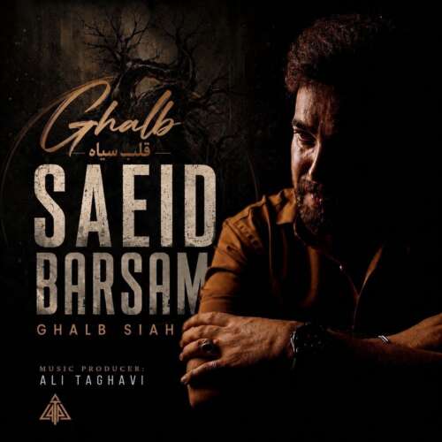 دانلود آهنگ سعید برسام قلب سیاه 1 saeid barsam ghalbe siah 2026 08 29 13 46