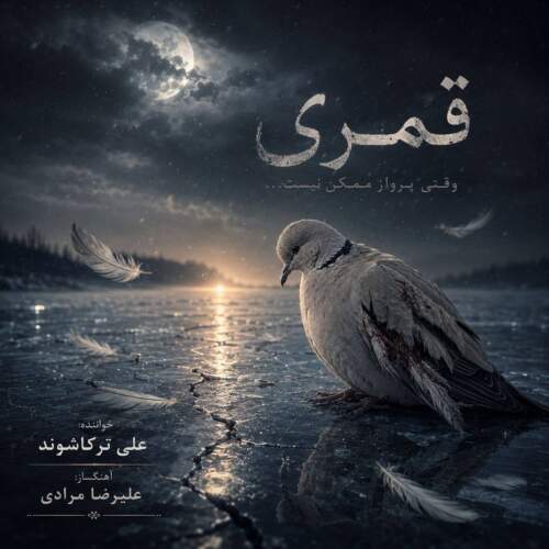 دانلود آهنگ علی ترکاشوند قُمری 1 ali torkashvand ghomri 2026 09 01 11 22